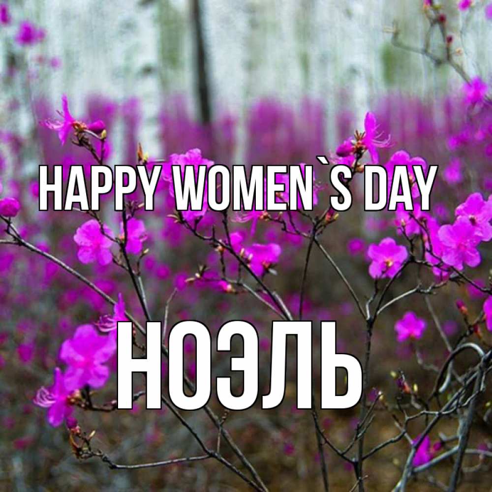 Greetings card с именем, НОЭЛЬ happy women`s day дикие цветы Greetings with text for free download 